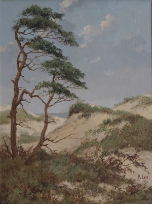  Gerard Cox: Duinen 